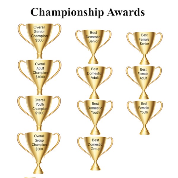 ChampionshipCategories
