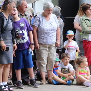 crowd pusic1