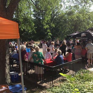 Crowds11