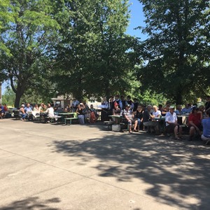 Crowds19