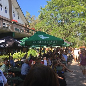 Crowds4