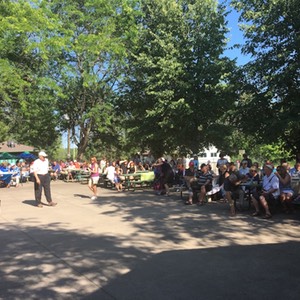 Crowds6