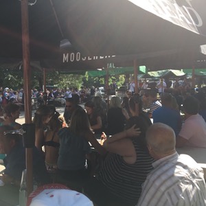 Crowds9