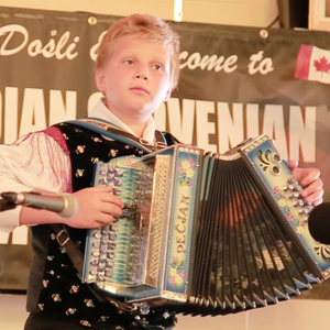Dominik Vid Virsek1