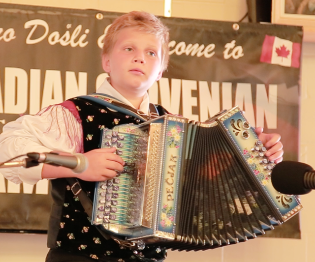 Dominik Vid Virsek1