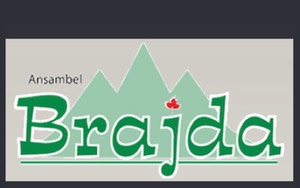 Ansambel Brajda