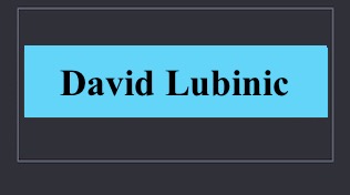 Logo David Lubinic