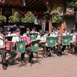 Showcasers Ulster Accordion Band4