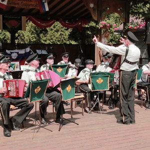 Showcasers Ulster Accordion Band3