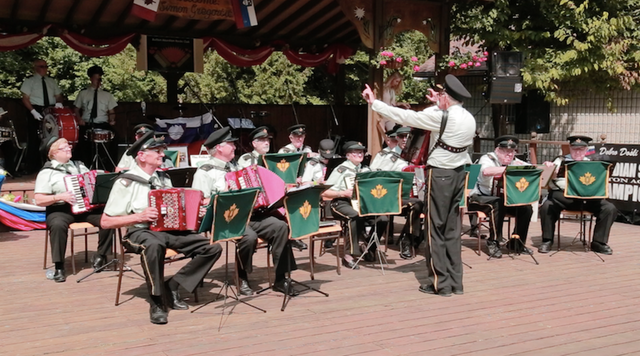 Showcasers Ulster Accordion Band3